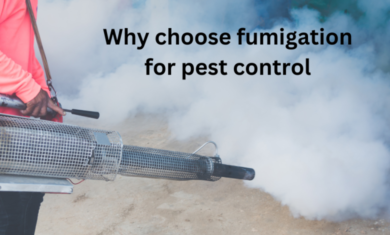 Why choose fumigation for pest control