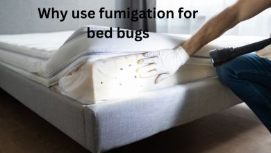 Why use fumigation for bed bugs