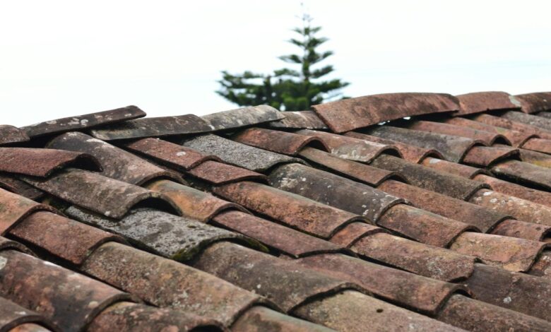 Roof Inspections